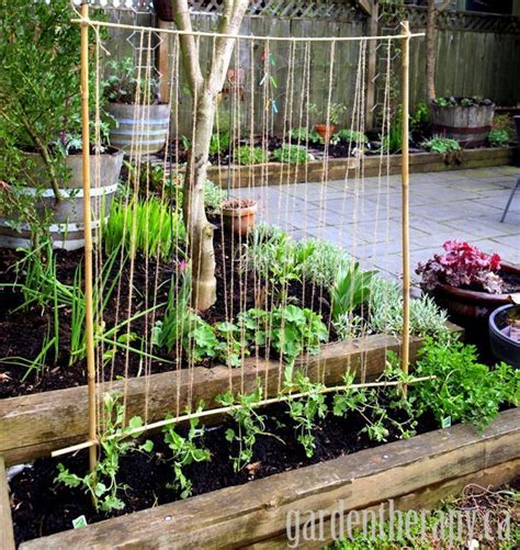 20 Awesome Diy Garden Trellis Projects 2023