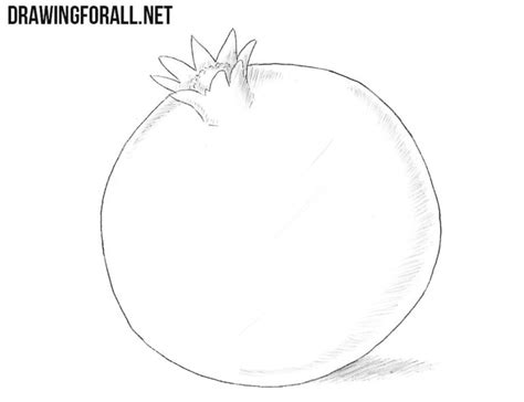 How To Draw A Pomegranate