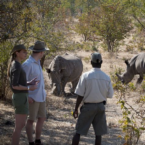 Safaris In Zambia For 2020 2021 Expert Africa