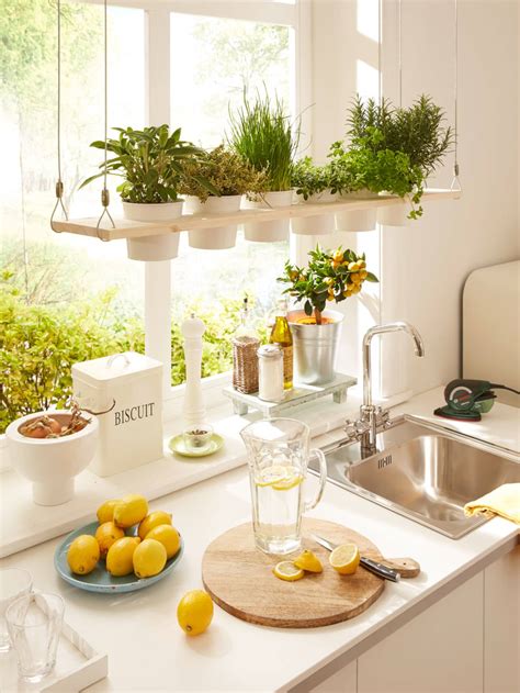 Creative Ways To Make Room For Plants In The Kitchen Apartment Therapy