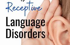 expressive receptive disorder iep