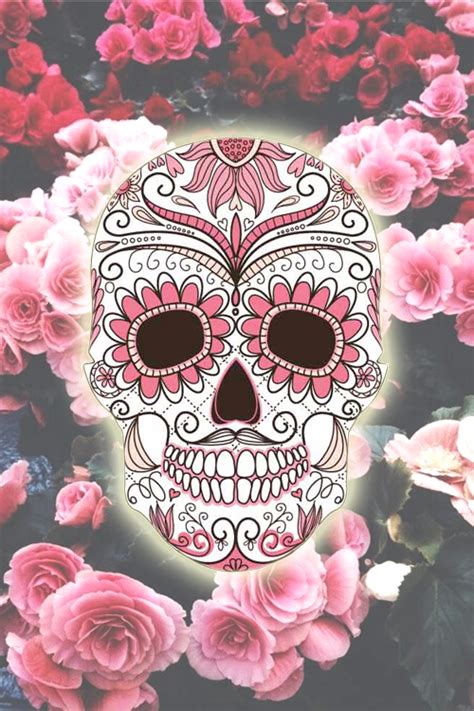 Pink Sugar Skull 500x750 Download Hd Wallpaper Wallpapertip