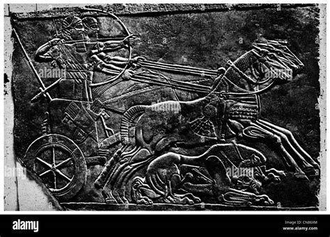 Ashurnasirpal Ii Nimrud Lions Hi Res Stock Photography And Images Alamy