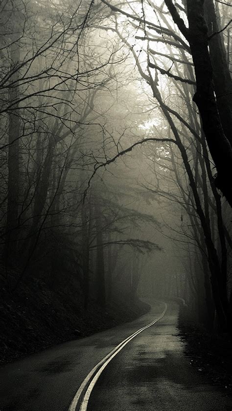Dark Road Forest The Iphone Wallpapers