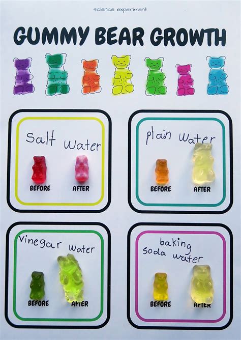 We did not find results for: printable gummy bear graph | just b.CAUSE