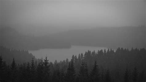 3023785 Black And White Forest Lake Mist 4k Wallpaper
