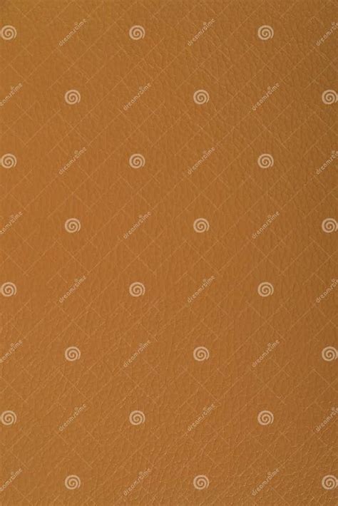 Orange Skin Texture Background Stock Photo Image Of Orange Natural