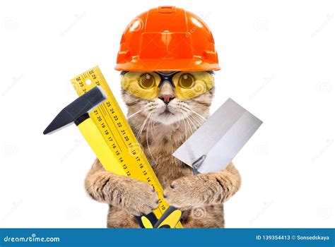 Retrato De Un Gato Del Constructor Con Las Herramientas En Patas Imagen