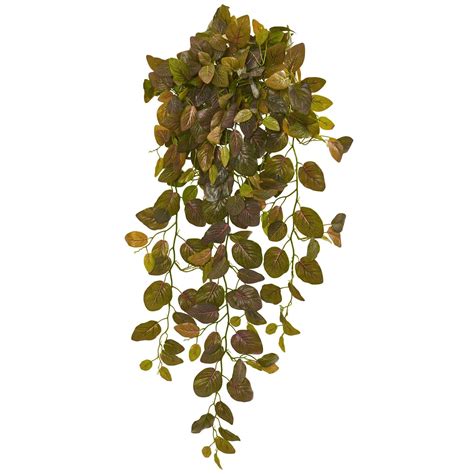 The stem comes fitted with a highly rated suction cup to mount anywhere on glass but can also be used without the suction cup to. 36" Autumn Artificial Fittonia Hanging Bush Plant (Set of ...