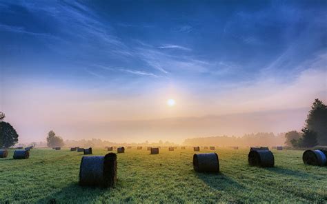 Sky Clouds Sunny Morning Sunrise Fields Grass Fog Nature Earth