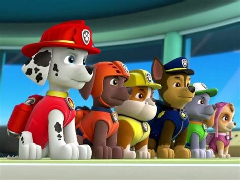 Paw Patrol Pups Go All Monkeypups Save A Hoot Tv Episode 2014 Imdb
