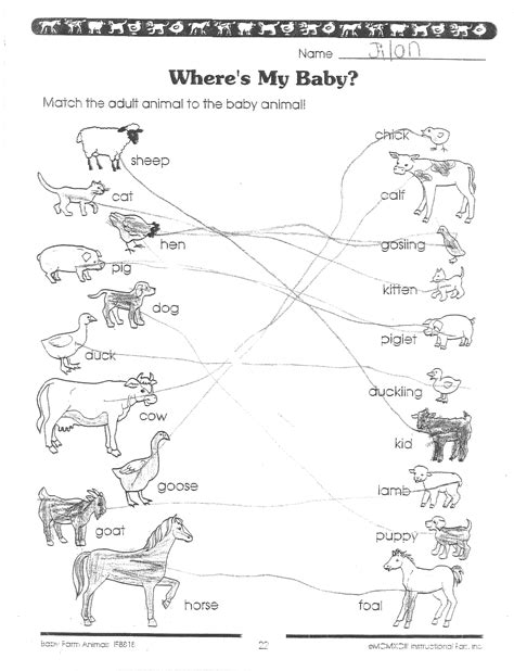 10 Best Images Of Farm Animals And Their Babies Worksheet Animal And
