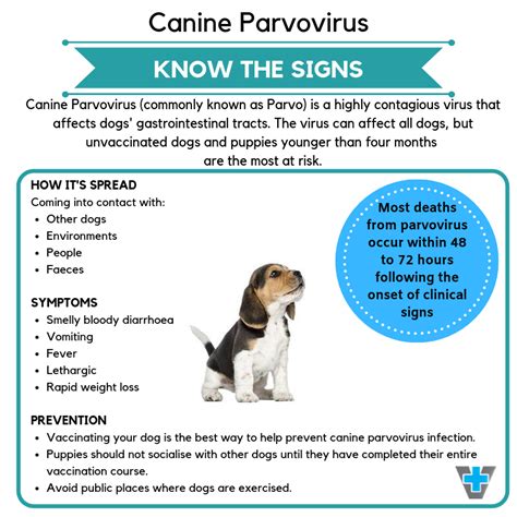 Canine Parvovirus Prevention