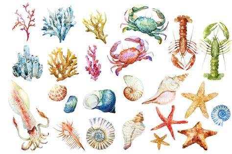 Watercolor Painting Of Sea Animals And Seashells
