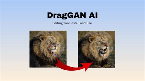Draggan Ai 编辑工具安装和使用 Draggan 照片编辑器 网贝30 Webbay