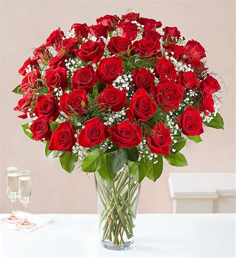 Ultimate Elegance Premium Long Stem Red Roses From 1 800 Flowerscom