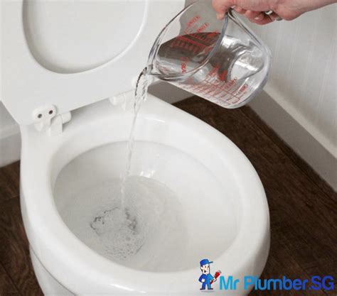 Make a diy toilet drain snake from a wire hanger. 5 DIY Ways to Unclog Your Clogged Toilet Drain - Mr ...