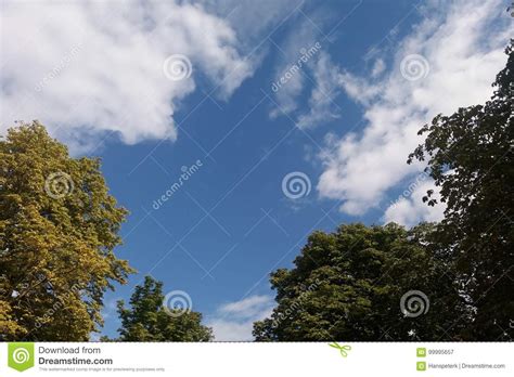 Autumnal Trees Blue Sky And White Clouds Stock Image Image Of Green
