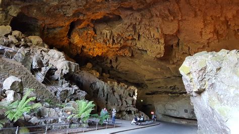 Blue Mountains And Jenolan Caves Premium Private Guided Tour Flexible