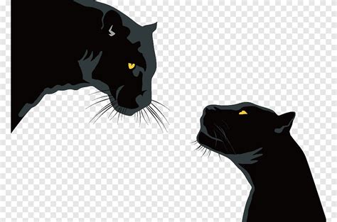 Dos Panteras Negras Enfrentadas Ilustración Pantera Negra Gato Negro