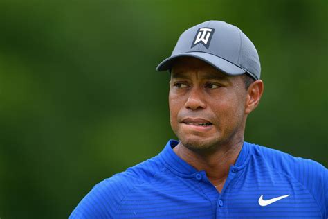 Growing up, virtually everyone heard the name tiger woods one time or the other. Hackers Infect PGA Computers with Ransomware, Demand ...