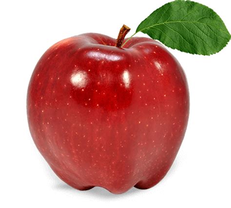 Apple Fruit Apple Png Download Free Transparent Apple Png Download Clip Art