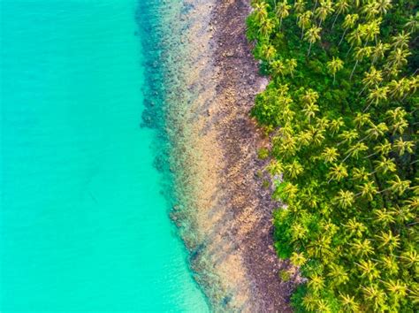 Free Photo Beautiful Aerial View Of Beach And Sea With Coconut Palm Tree