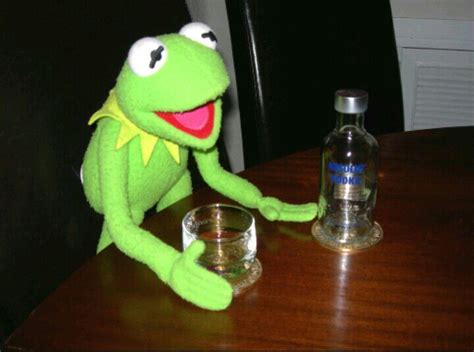 Alcoholic Kermit Kermit Addicts Amino