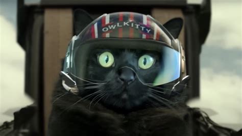 Top Gun Maverick Gets Remade With A Cat In The Pilots Seat Nerdist