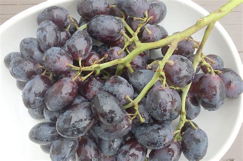 Organic Black Seedless Grapes Produce Geek