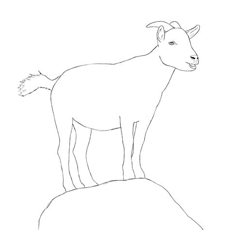 How To Draw A Goat Draw Central Animal Drawings Goat Paintings