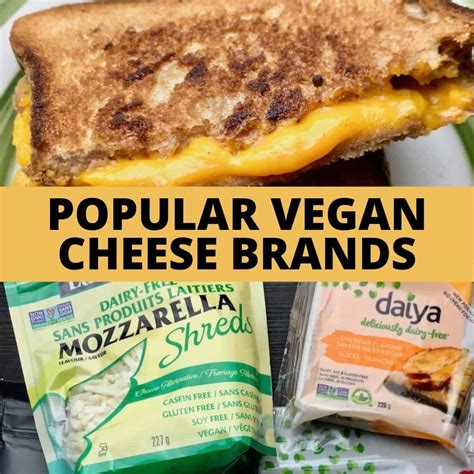 Popular Vegan Cheese Brands That Make Delicious Cheese Alternatives