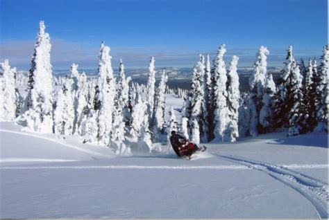 Complete Guide To Snowmobiling In West Yellowstone