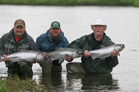 Alaska King Salmon And Steelhead Fishing At Aleutian Adventures