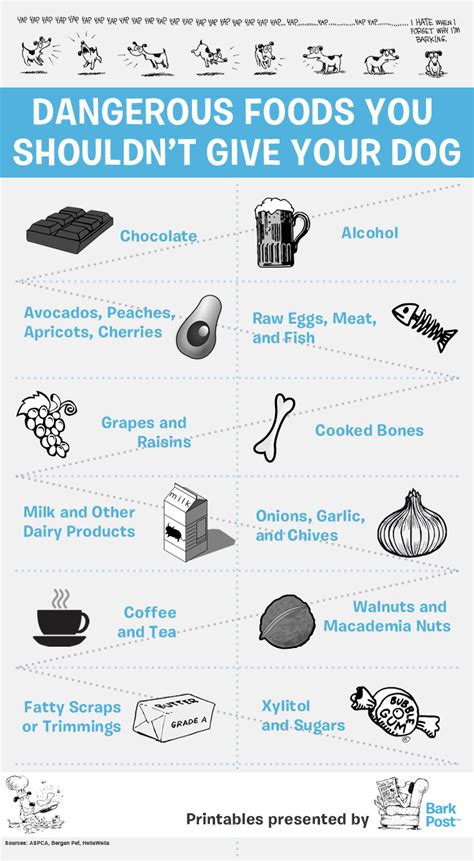 So try to avoid lemons, oranges, grapefruits, and. Printable Infographic: Everyday Foods That Your Dog Should ...