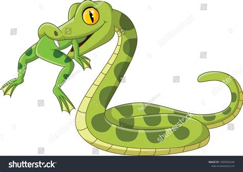 Death Snakes Food Chain Royalty Free Images Stock Photos And Pictures