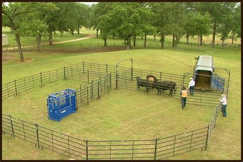 Livestock Corral Systems Livestock Cattle