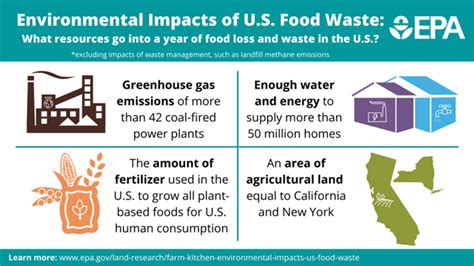 Preventing Wasted Food At Home Us Epa