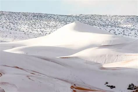 Sahara Desert Snowfall In Sahara Desert A Rare Thing That Happened