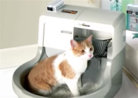 Catgenie The Self Cleaning Self Flushing Cat Toilet