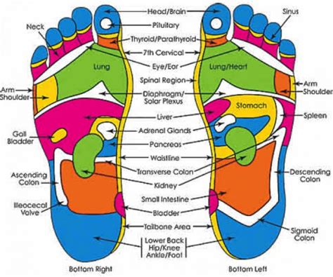 Foot Massage Reflexology Pamper Your Feet With A Ripple Massage Foot Reflexology
