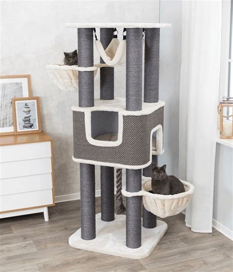 Here are my three favourite cat towers which offer great value for money, are all high quality, and fit all budgets my favourite cat tree by far is this superb 67 inch tall cat tower, sold by feandrea (click here for the latest price on amazon). Trixie Cat tree Maine Coon XXL Humberto - PetsGifts