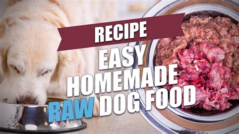 Easy Homemade Raw Dog Food Recipe Fast And Healthy