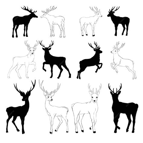 Premium Vector Deer Drawing Set
