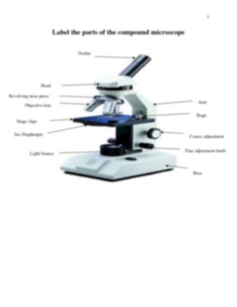 Solution Label Compound Microscope 1 Studypool
