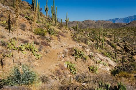 Much of the mountain range is protected land within the tortolita mountain park. The Adventures of Ken: Tortolita Mountains - Marana, Arizona