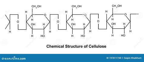 Chemical Structure Of Cellulose Stock Vector Illustration Of Model