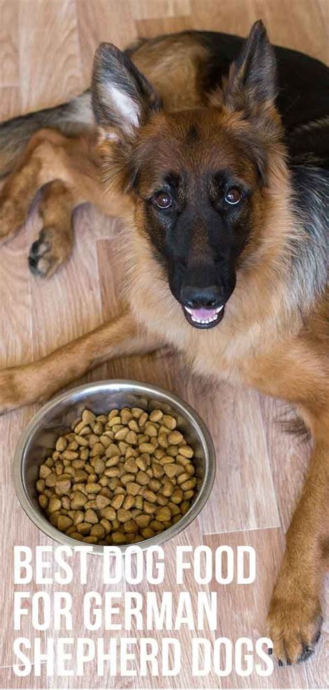 Which is the worst dry food for dogs? Best Dog Food for German Shepherd Dogs Young and Old ...