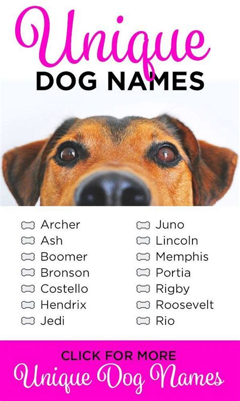 Ben, ash, lou, sam, zeb, moe, max, ned, poe, or ray for males, or joy, gia, sky, zoe, di, may, quinn, gem, flo, or elle for females. Unique Dog Names | Top Dog Information