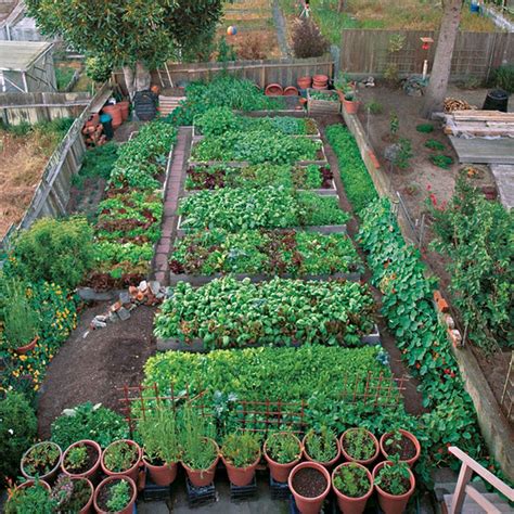 Indoorgardenforvegetables Small Vegetable Gardens Backyard Garden